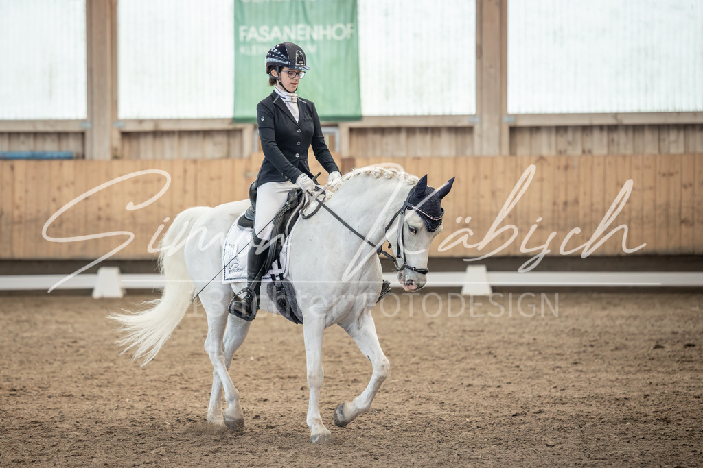 20251011-_3LI6980 | Tierfotografie Pferde, Hunde, Katzen, Haustiere.
Turnierfotografie Reitturniere, Reiten, Springreiten, Dressur in Hanau, dem Main-Kinzig-Kreis und dem Rhein-Main- Gebiet um Frankfurt