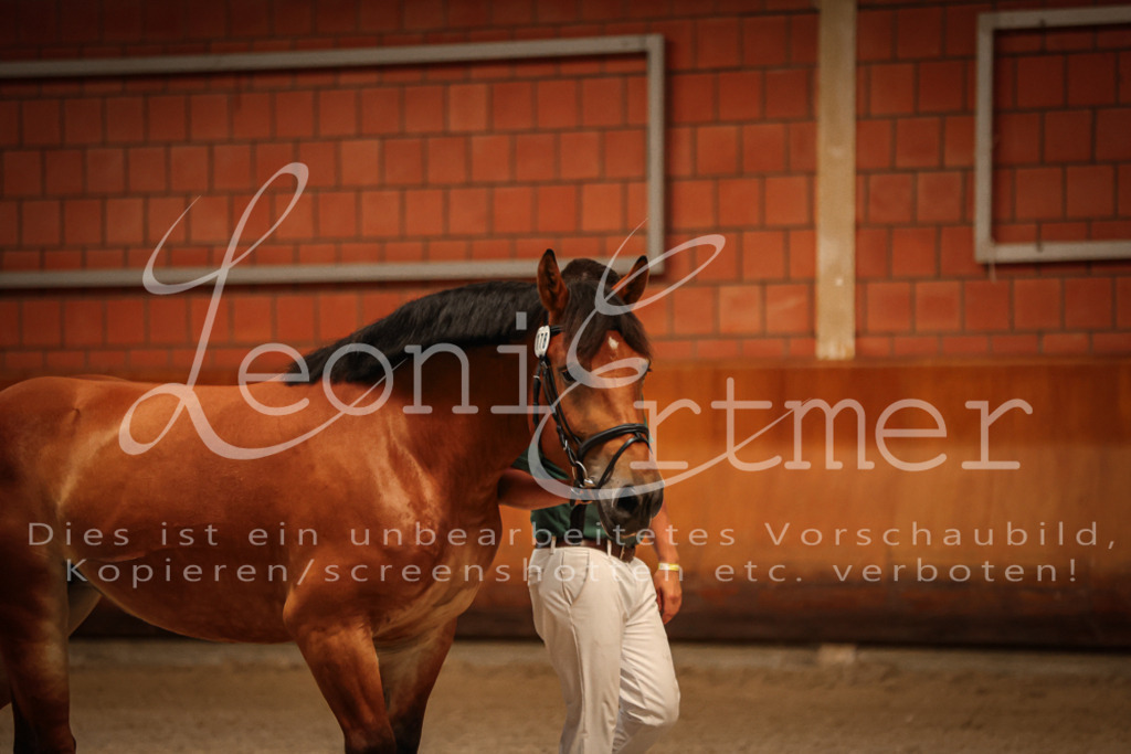 SaFL00002 | Leoni Ertmer Photography - Realisiert mit Pictrs.com