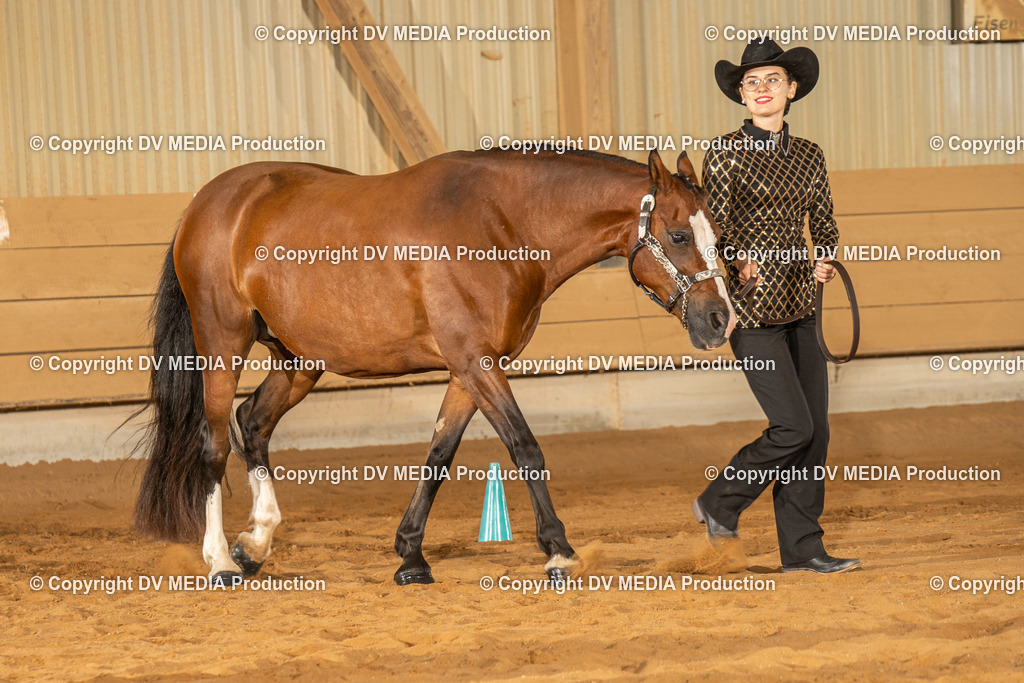 NID02376 | dv-media-shop - Realisiert mit Pictrs.com