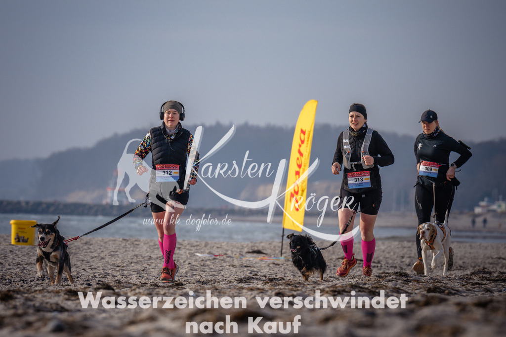 1005_ZZ93910 | kk-dogfotos