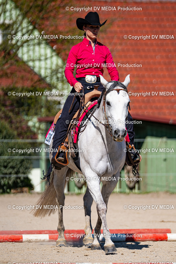 Balingen Tag 1-700 | dv-media-shop - Realisiert mit Pictrs.com