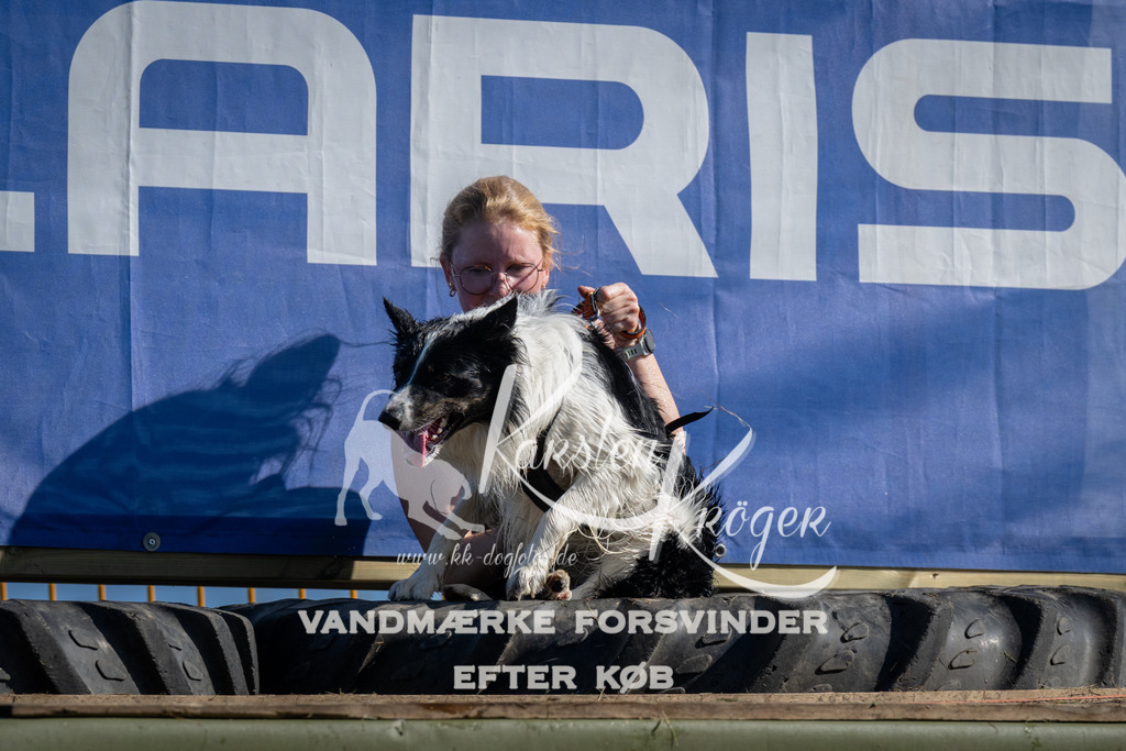 1006_ZZ97569 | kk-dogfotos