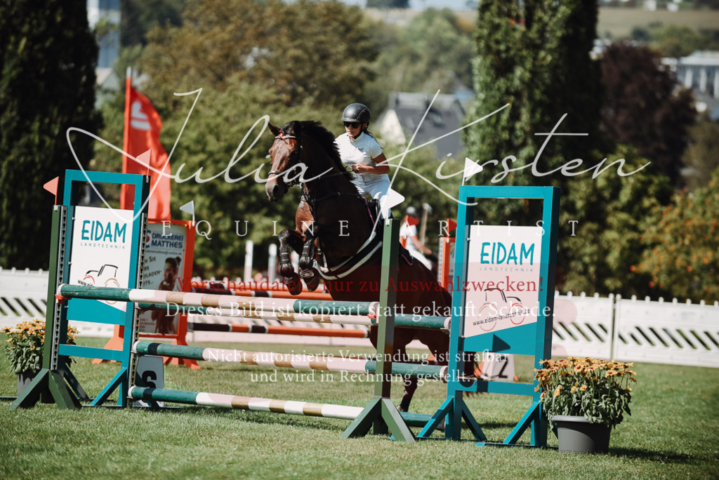 DSC_3218 | Pferde- und Turnierfotografie in Westsachsen. Pferdeportraits, Auftragszeichnungen und intuitive Kunst.