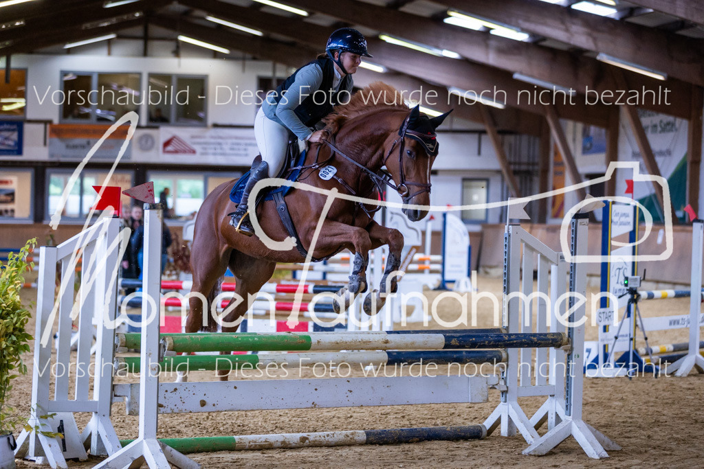 Sth-Gewöhnung-001 | MomenTaufnahmen Pferdesportfotos