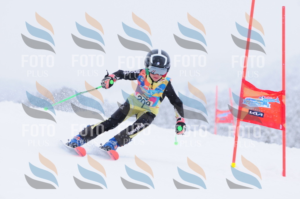 C2254 | holidayphoto