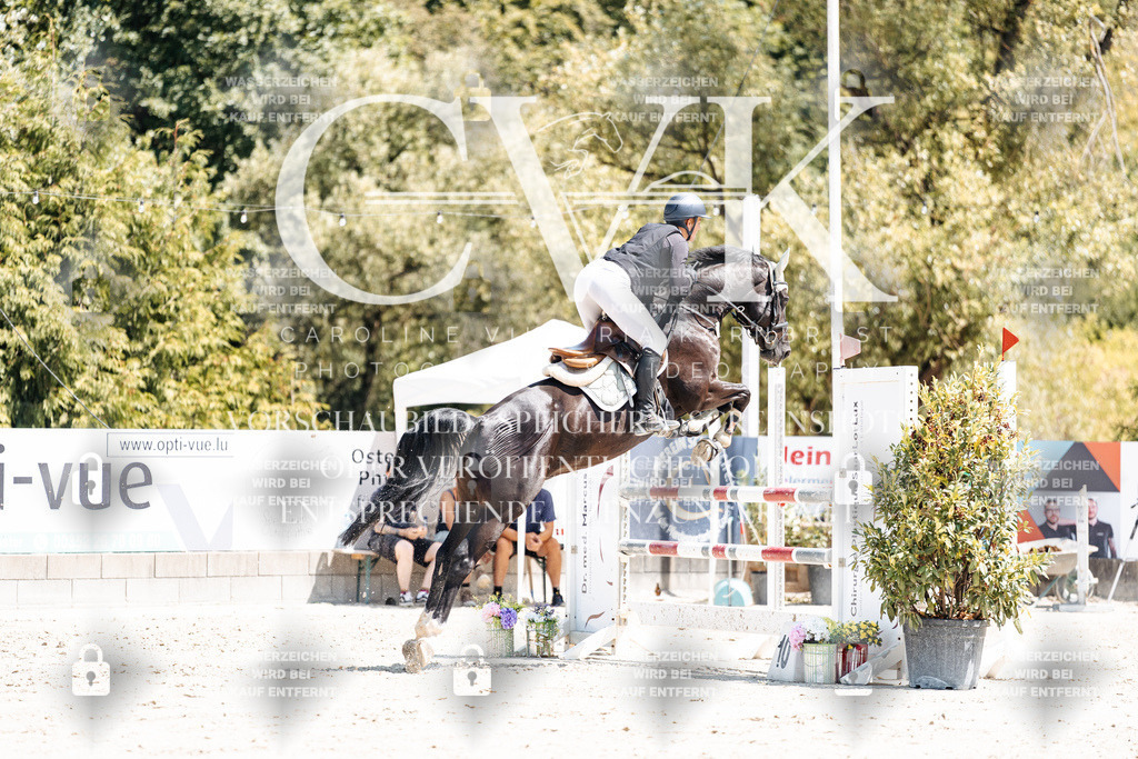CK900183 | Turnierfotografie Pferdefotografie Trier Rheinland-Pfalz Pferdesport Reitsport Tierfotografie Sportfotografie Pferdevideo Pferdevideografie Equestrianvideography equestrianphotography  - Realisiert mit Pictrs.com
