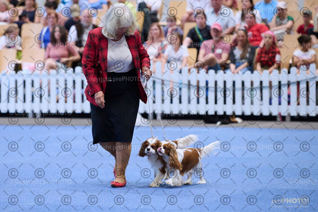 202406_ÖKV-IHA-Tulln24_DSC_3712 | proPHOTO - Realisiert mit Pictrs.com