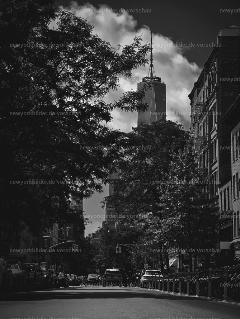 Bäume rahmen die Straßen, dahinter erhebt sich das One World Trade Center | Diese Aufnahme entführt dich mitten in die Straßen von Manhattan, wo sich die Äste der Bäume wie ein natürlicher Rahmen über den Asphalt neigen. In der Ferne erhebt sich das One World Trade Center, majestätisch und klar, ein Orientierungspunkt, der die Richtung nach Downtown weist. Die Schwarz-Weiß-Komposition verleiht der Szene eine zeitlose Eleganz und hebt die Kontraste zwischen urbaner Architektur und organischer Natur hervor. Es ist ein Bild, das Ruhe ausstrahlt und gleichzeitig die pulsierende Energie der Stadt spürbar macht. Für Liebhaber von Street Photography und New York City ist dieses Motiv ein echtes Highlight – es erzählt Geschichten von Bewegung, Perspektive und Hoffnung. Ideal für alle, die die ikonische Skyline und die besondere Atmosphäre Manhattans in ihrer reinsten Form erleben möchten