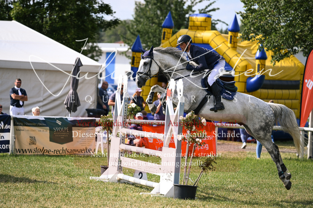 DSC_1017 | Pferde- und Turnierfotografie in Westsachsen. Pferdeportraits, Auftragszeichnungen und intuitive Kunst.