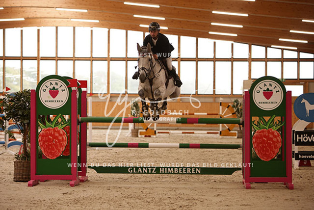 1J2A5645Jan Zdeb_ Masterclass_ Kn372_ Glantz_ Hohen Wieschendorf | Foto- und Videografie für alles rund ums Pferd. Hochwertige Bilder und Videos vom Spring- und Dressurreiten, Voltigieren & mehr. Jetzt aktuelle Veranstaltungen und Preise im Shop ansehen. - Realisiert mit Pictrs.com