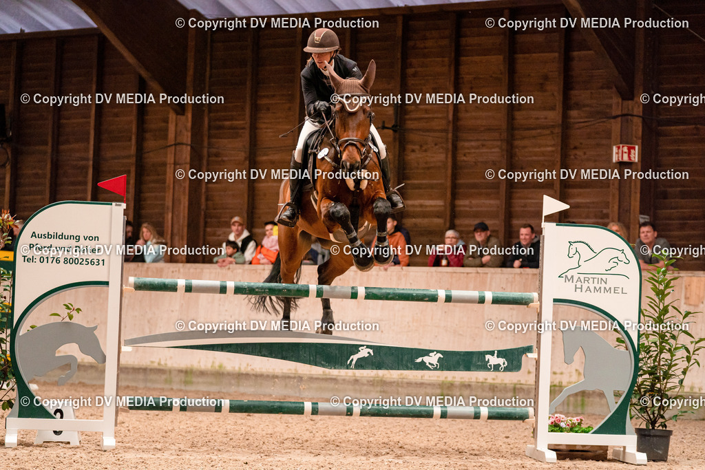 Springen Tag 3-382 | dv-media-shop - Realisiert mit Pictrs.com