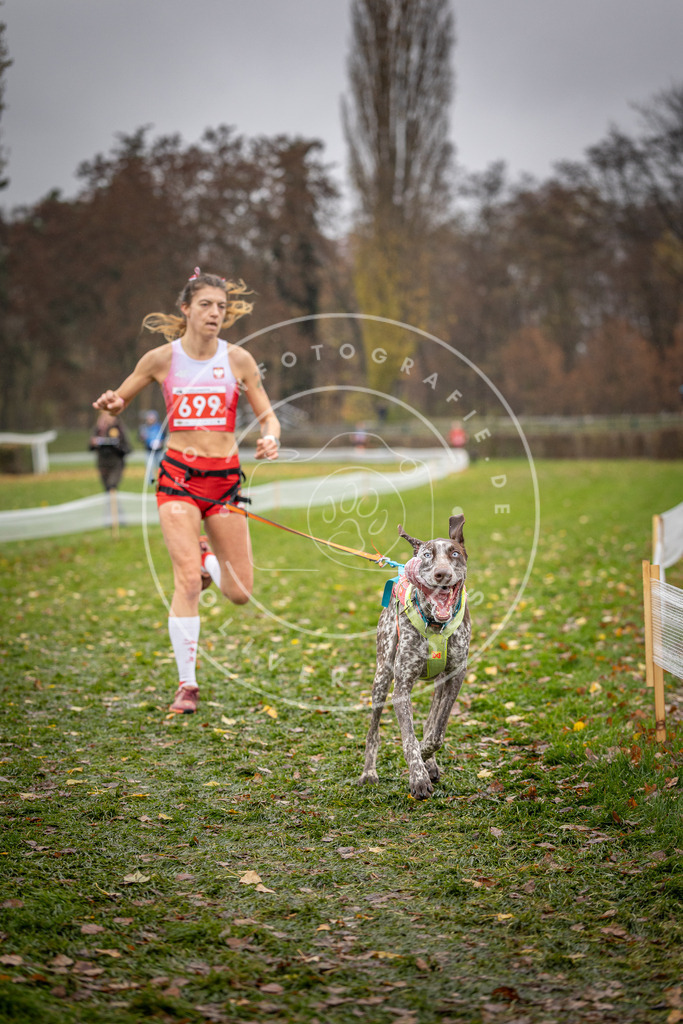 CaniXpix_DV3A9179 | Hundefotografie, Tierfotograf, Pfotenfotografie, Fotoshooting Hund, Hunde Portrait, Hundesport, Hundeportraits, Heideshooting, Hunde, Sportfotograf, Hundefotograf, Turnierhundsport, THS,  - Realisiert mit Pictrs.com