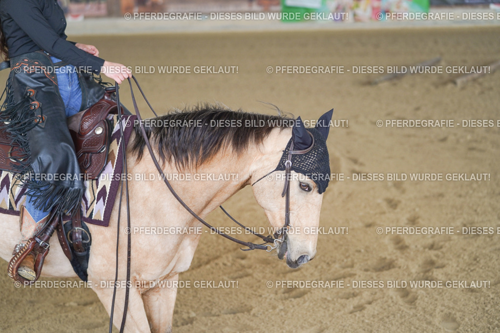 DSC01517 | Pferdegrafie