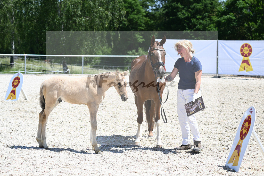 Kat-Nr. 5 HF Gold Garant_Kaus_16230672 | hf-fotografie - Realisiert mit Pictrs.com
