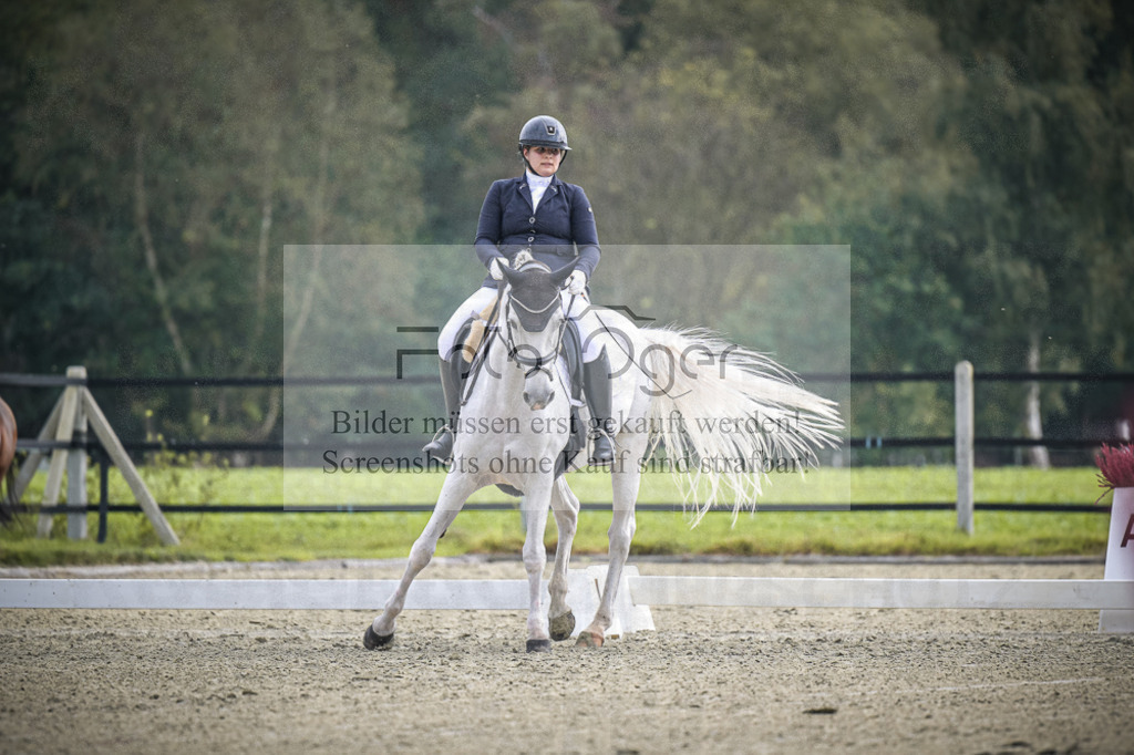 DOS_B430 | Entdecke hochwertige Reitturnierfotos von Foto Oger. Professionell, emotional und authentisch – jetzt Lieblingsmomente im Shop bestellen.Deutschlandweite Turnierfotografie. - Realisiert mit Pictrs.com