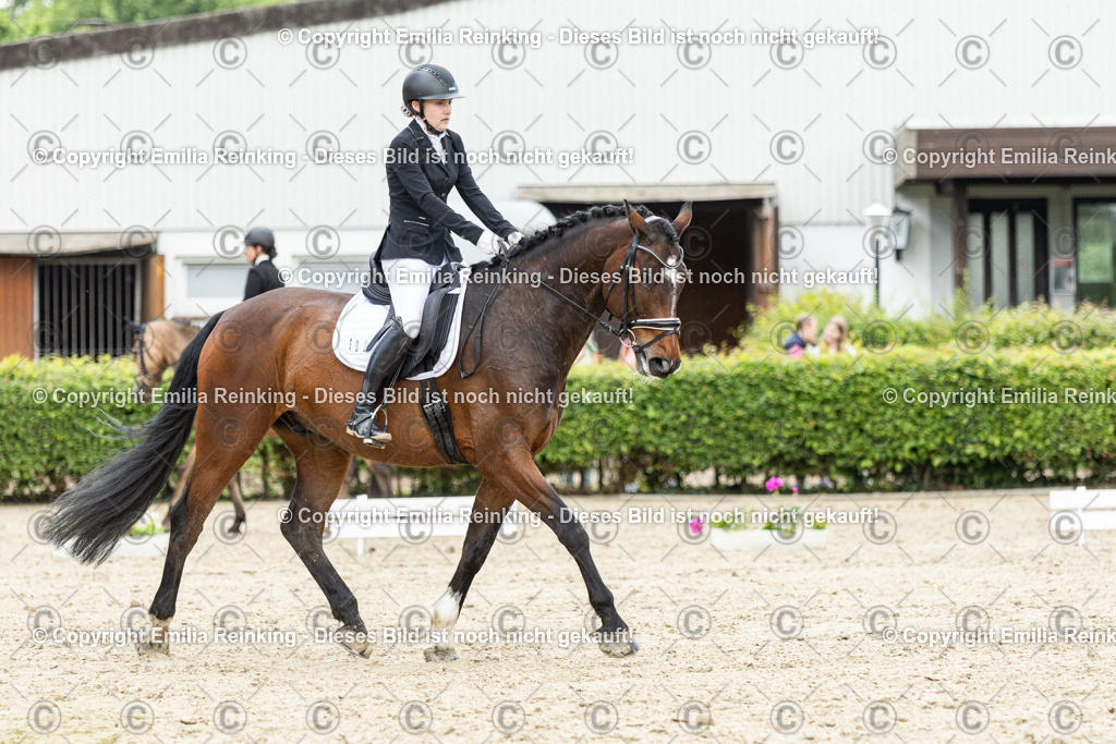 CL5A0972 | Emilia Reinking Fotografie - Realisiert mit Pictrs.com