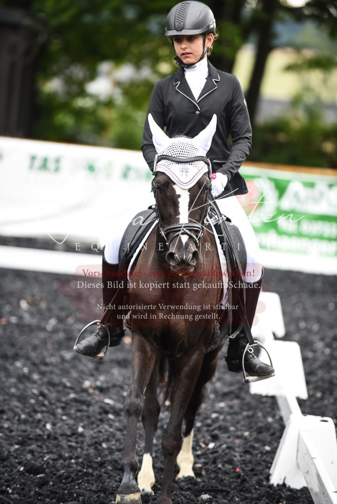 DSC_2733 | Pferde- und Turnierfotografie in Westsachsen. Pferdeportraits, Auftragszeichnungen und intuitive Kunst.