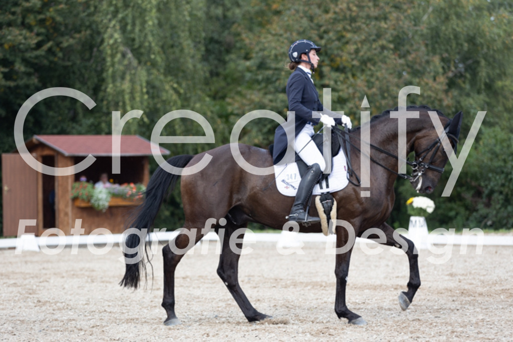 IMG_4964 | Creatify Fotografie