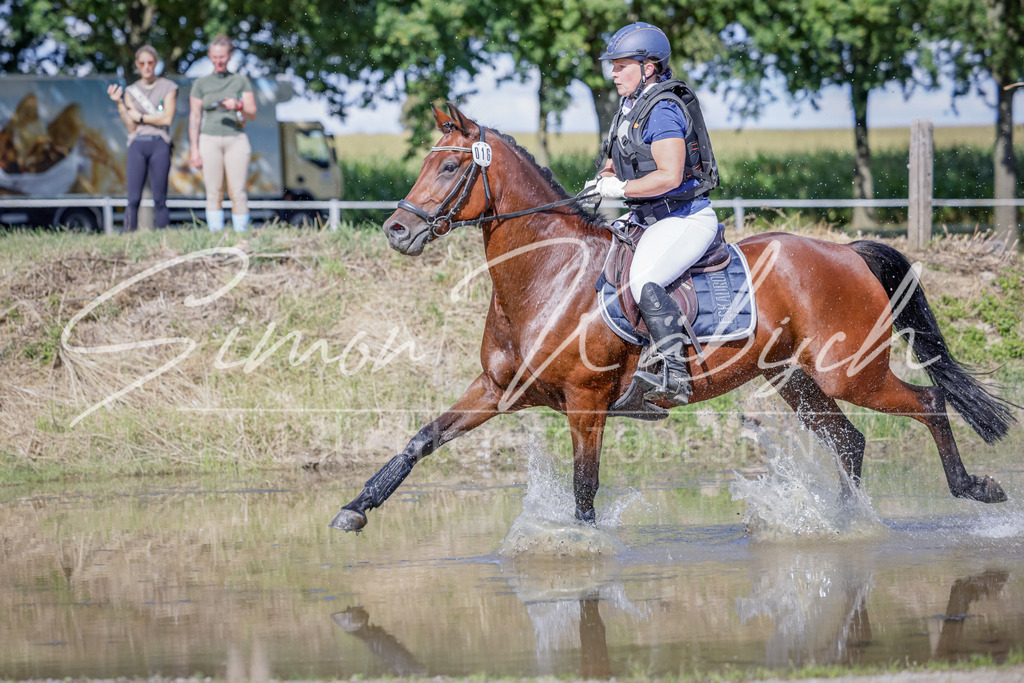 20250906-_3LI6737 | Tierfotografie Pferde, Hunde, Katzen, Haustiere.
Turnierfotografie Reitturniere, Reiten, Springreiten, Dressur in Hanau, dem Main-Kinzig-Kreis und dem Rhein-Main- Gebiet um Frankfurt