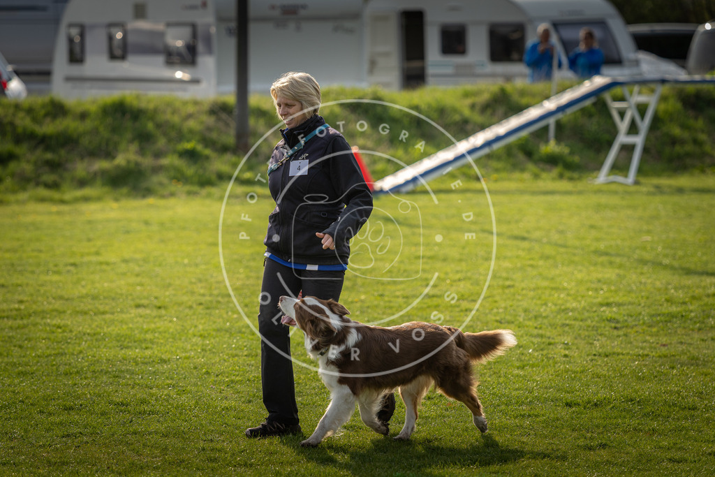 Pfotenfotografie_DV3A4787 | Hundefotografie, Tierfotograf, Pfotenfotografie, Fotoshooting Hund, Hunde Portrait, Hundesport, Hundeportraits, Heideshooting, Hunde, Sportfotograf, Hundefotograf, Turnierhundsport, THS,  - Realisiert mit Pictrs.com