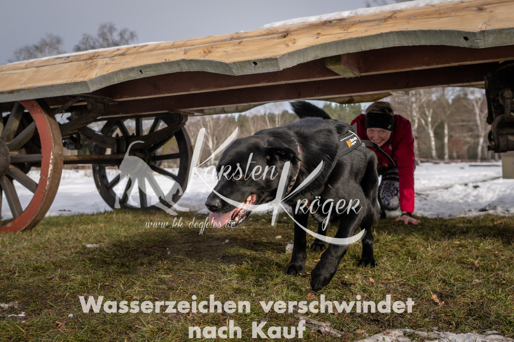 0854_ZZ93110-3 | kk-dogfotos