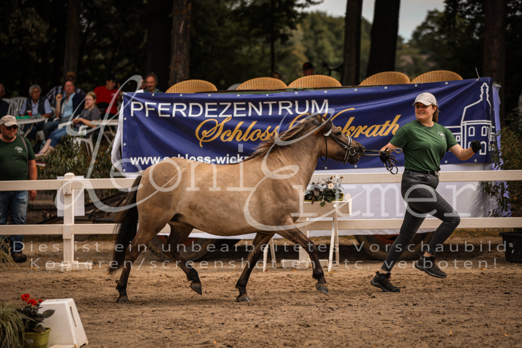 03.So00012 | Leoni Ertmer Photography - Realisiert mit Pictrs.com