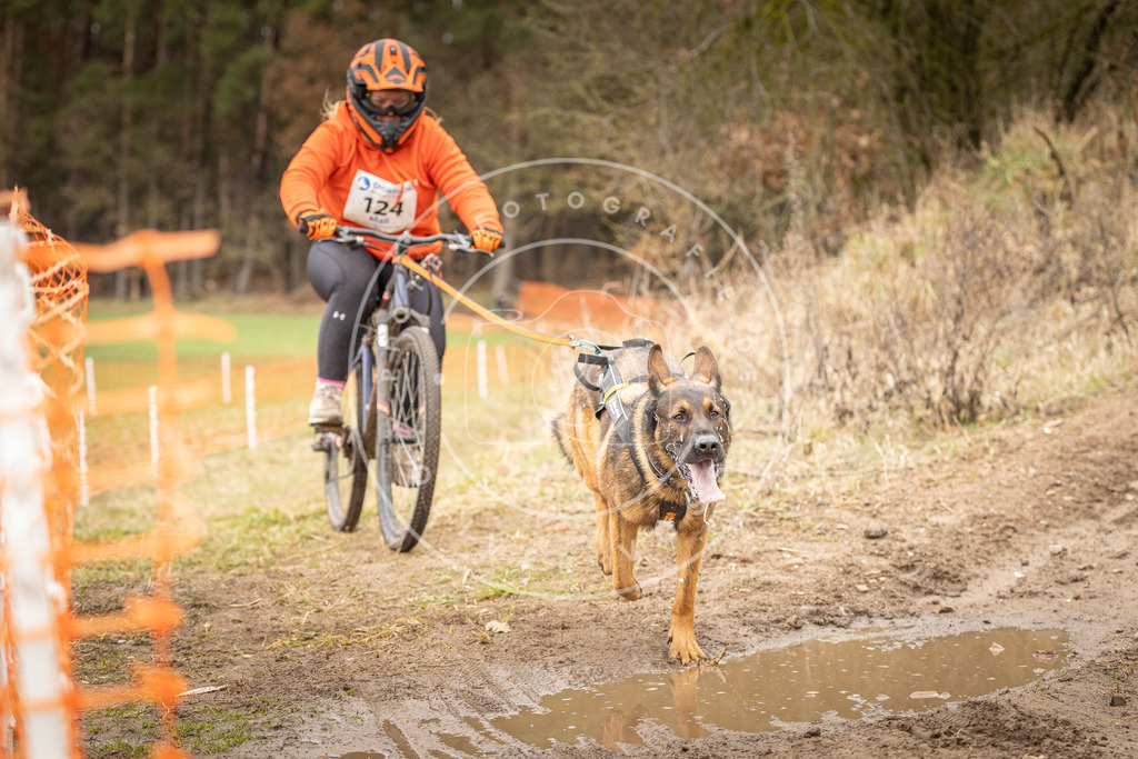 DV3A1153 | Hundefotografie, Tierfotograf, Pfotenfotografie, Fotoshooting Hund, Hunde Portrait, Hundesport, Hundeportraits, Heideshooting, Hunde, Sportfotograf, Hundefotograf, Turnierhundsport, THS,  - Realisiert mit Pictrs.com