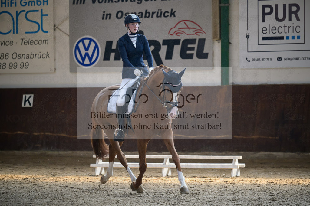 Reitturnier Voxtrup | Entdecke hochwertige Reitturnierfotos von Foto Oger. Professionell, emotional und authentisch – jetzt Lieblingsmomente im Shop bestellen.Deutschlandweite Turnierfotografie. - Realisiert mit Pictrs.com