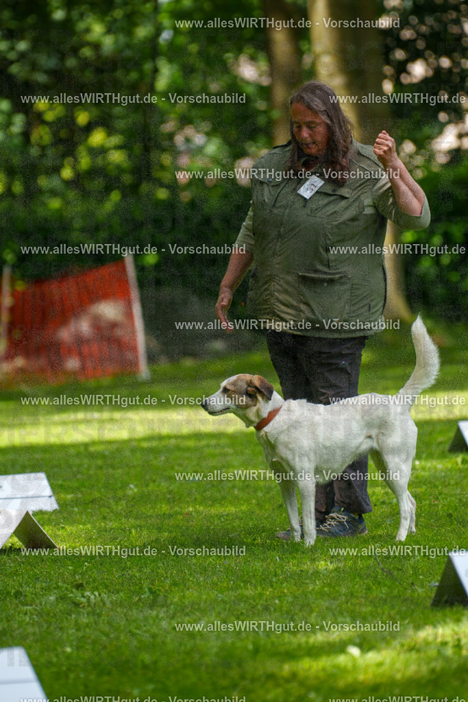 @allesWIRTHgut_Tierfotografie - www.allesWIRTHgut.de - 7R504334 | Professionelle Tierfotografie in Mönchengladbach von Daniel Wirth (allesWIRTHgut). Liebevolle & natürliche Bilder von Hunden & Katzen für unvergessliche Erinnerungen.