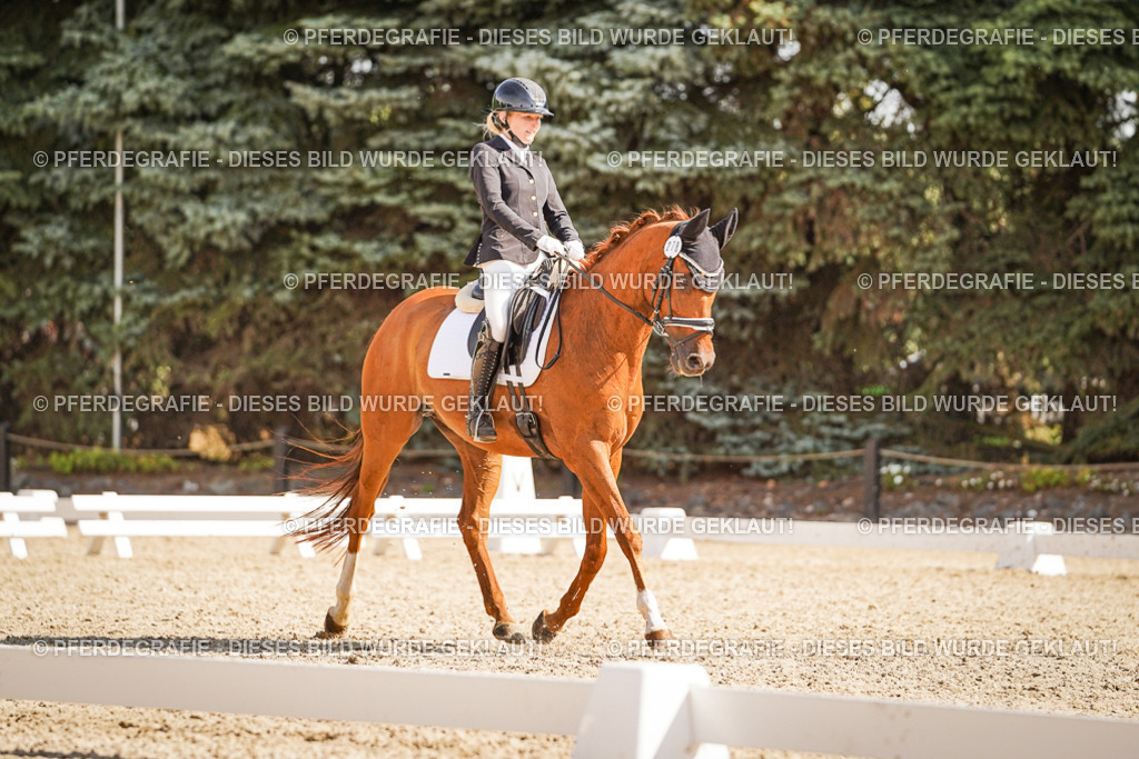 DSC00711 | Pferdegrafie