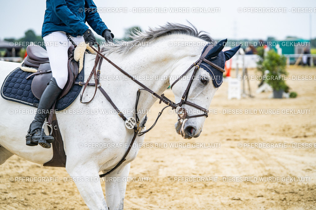 DSC09209 | Pferdegrafie