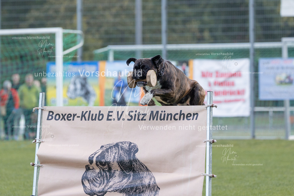 _16A5693 | Einzigartige Fotos von Hunden & Menschen –Actionfotos, Portraits, Vereinsaufnahmen & Paarshootings – authentisch, lebendig & mit Herz.