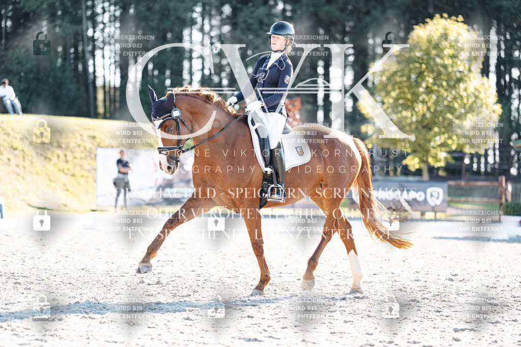 CK906878 | Turnierfotografie Pferdefotografie Trier Rheinland-Pfalz Pferdesport Reitsport Tierfotografie Sportfotografie Pferdevideo Pferdevideografie Equestrianvideography equestrianphotography  - Realisiert mit Pictrs.com