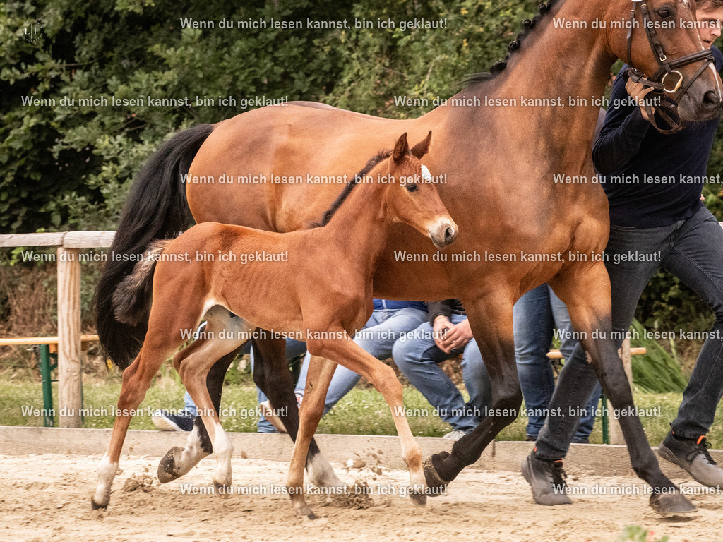 A10I3992 15.58.11 | photographylinaismer - Realisiert mit Pictrs.com