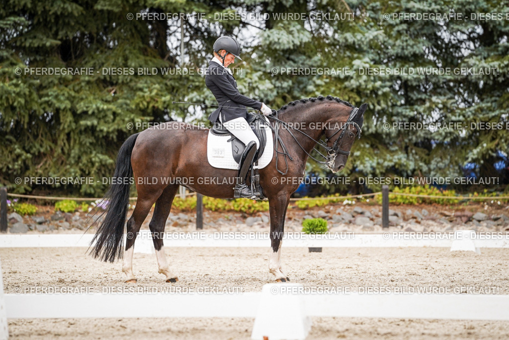 DSC07569 | Pferdegrafie