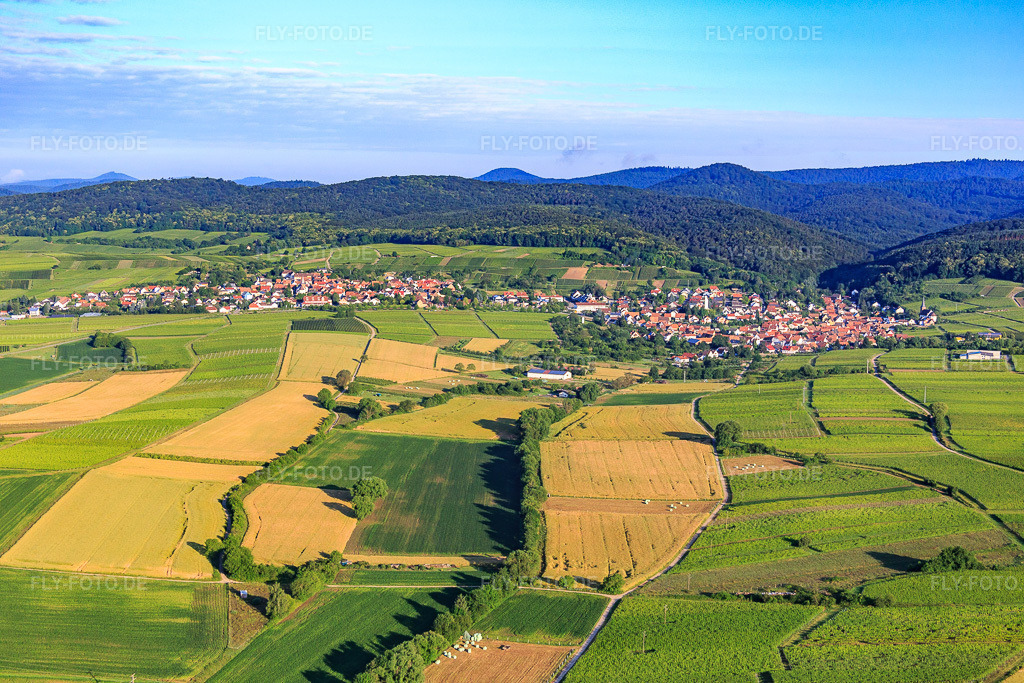 Luftbild: Winzerdorfansicht vom Rußbachtal aus Osten im Ortsteil Rechtenbach in Schweigen-Rechtenbach im Bundesland Rheinland-Pfalz in Deutschland. Foto: IMG_089928.jpg vom 26.06.2016 durch Werner Riehm/FLY-FOTO.de