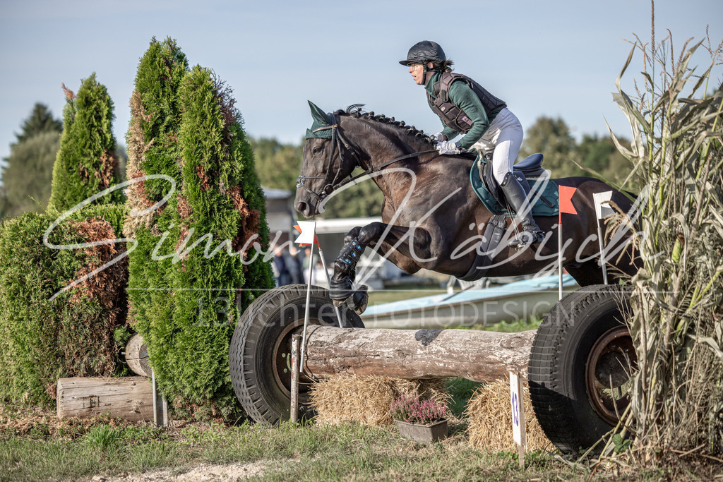 20250907-_3LI8806 | Tierfotografie Pferde, Hunde, Katzen, Haustiere.
Turnierfotografie Reitturniere, Reiten, Springreiten, Dressur in Hanau, dem Main-Kinzig-Kreis und dem Rhein-Main- Gebiet um Frankfurt