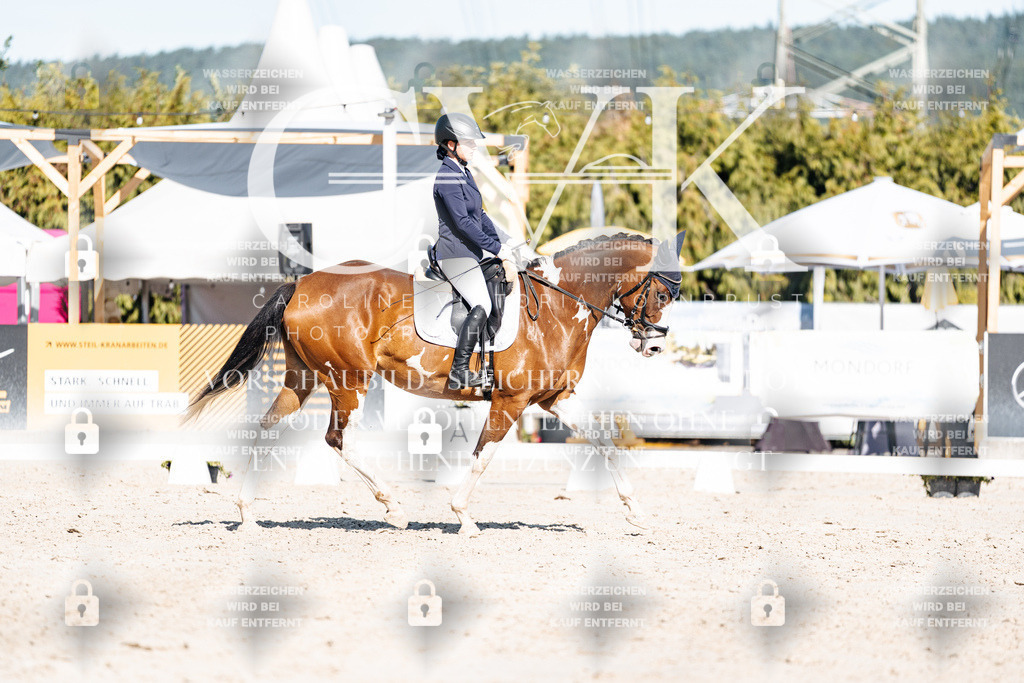 CK908174 | Turnierfotografie Pferdefotografie Trier Rheinland-Pfalz Pferdesport Reitsport Tierfotografie Sportfotografie Pferdevideo Pferdevideografie Equestrianvideography equestrianphotography  - Realisiert mit Pictrs.com
