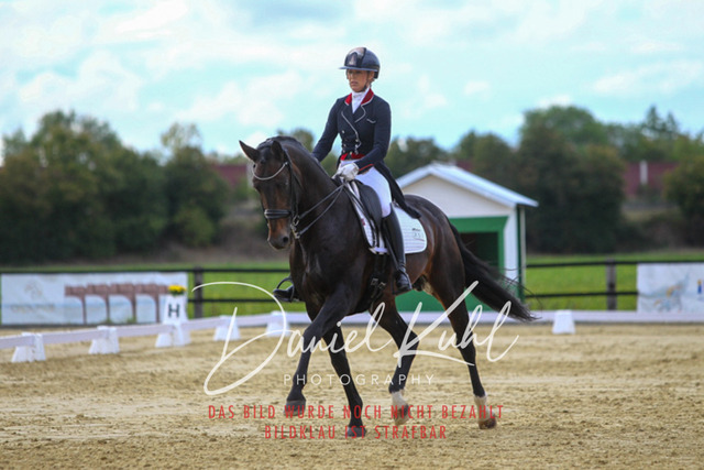 DKP44733 | Turniersportfotografie; Pferdefotografie; Dressurfotografie