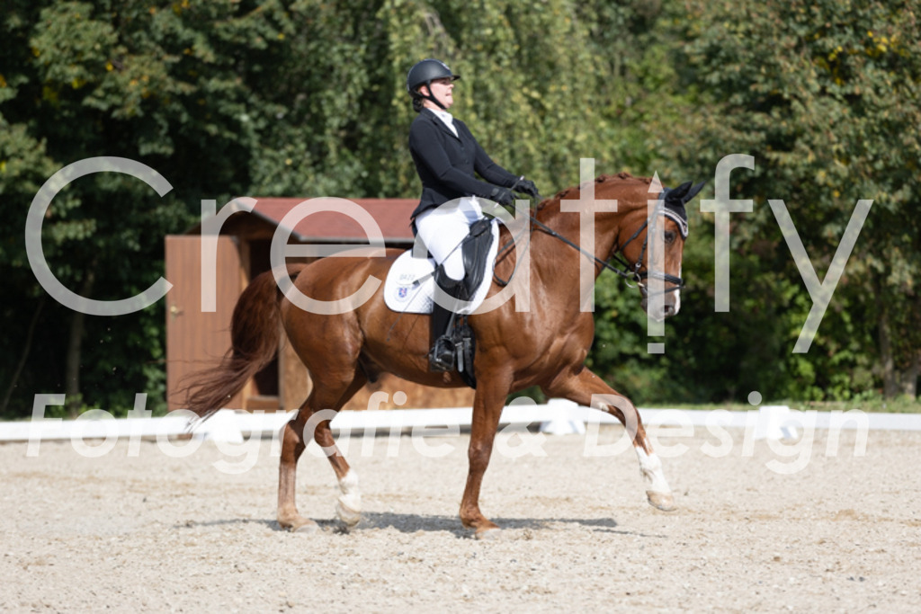 IMG_3954 | Creatify Fotografie