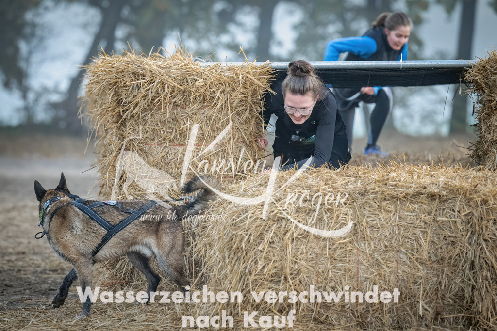 0817_ZZ97622 | kk-dogfotos