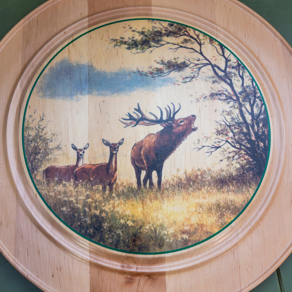 top-top.de 260412-014 | Foto, Video, Fotografie, Videografie, Fotobox, DJ, Discjockey, Musik, Musikbox, Veranstaltung, Photobooth, Amazon, Ebay, Buchtipp, Bestseller, Autor, Verlag, Buch, Wesel, Hamminkeln, NRW, Dinslaken, Rees, Drohne, Hochzeit, Party, Fotobox, Wesel, Fotograf