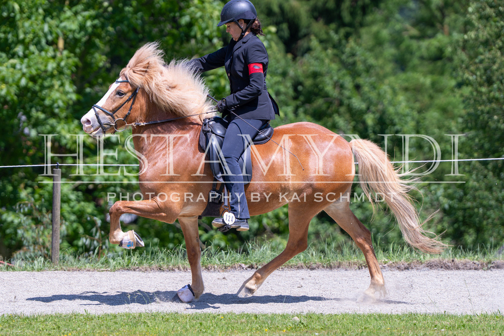 KAI03436 | Ihr sucht einen Fotografen für eure nächste OSI? Ich begleite auch euer Turnier für Islandpferde fotografisch.  - Realisiert mit Pictrs.com