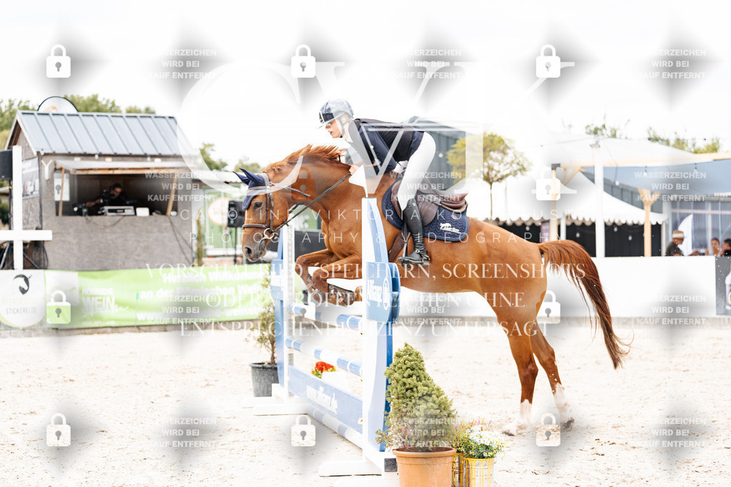 CK909512 | Turnierfotografie Pferdefotografie Trier Rheinland-Pfalz Pferdesport Reitsport Tierfotografie Sportfotografie Pferdevideo Pferdevideografie Equestrianvideography equestrianphotography  - Realisiert mit Pictrs.com