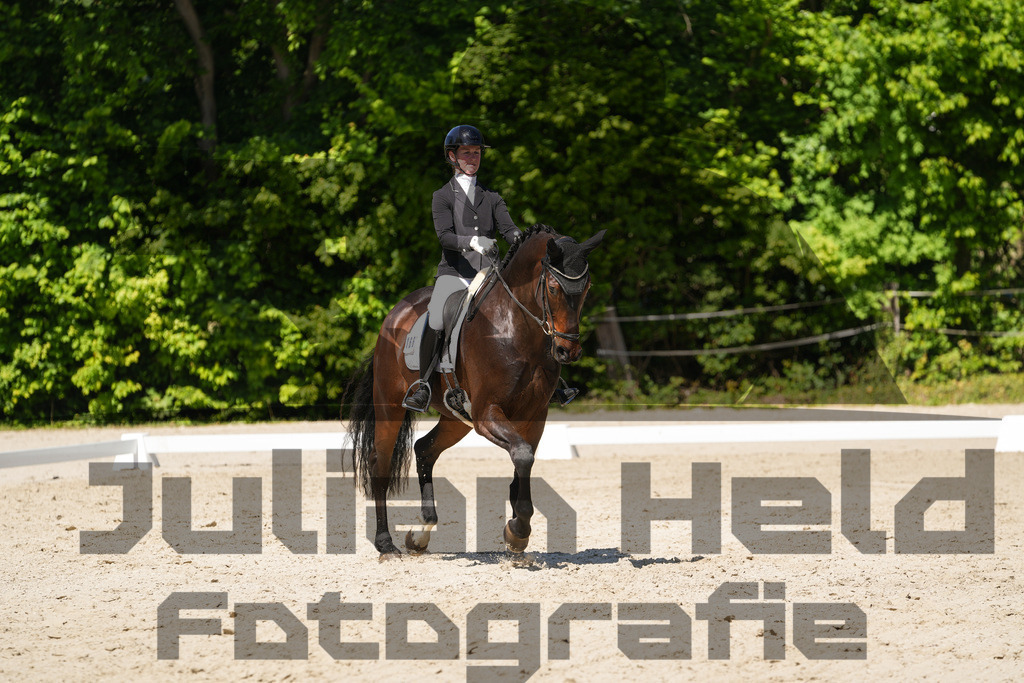 DSC00383 | Julian Held Fotografie - Realisiert mit Pictrs.com