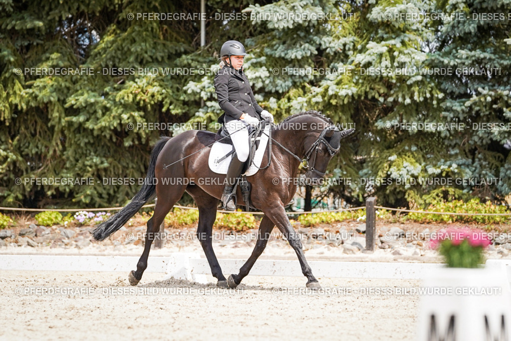 DSC03486 | Pferdegrafie