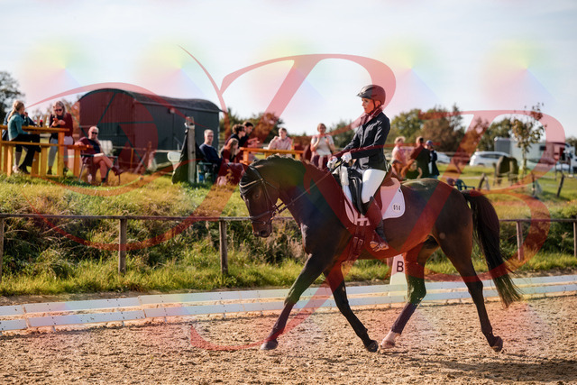 2026_10_03_Siefer-Hof_133622_Z63_96973911 | Professionelle Reitsport-, Turnier- und Eventfotografie von Robert Broda. Galerien mit ausgewählten und bearbeiteten Bildern direkt online ansehen und bestellen.