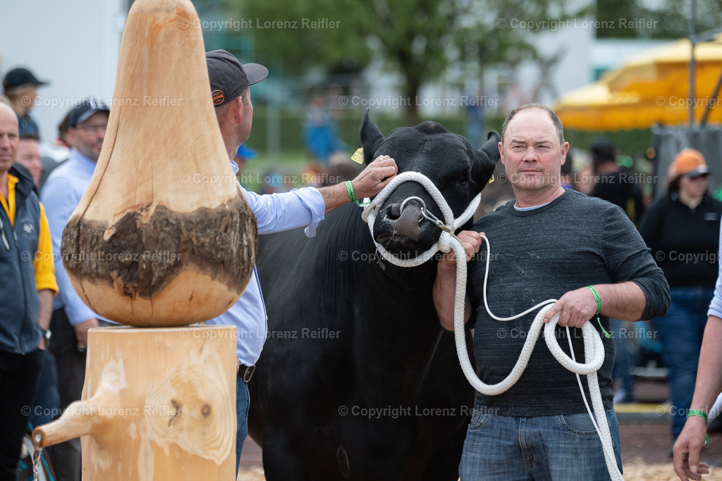 Schwingen -  TG Kantonal 2023 | Neukirch-Egnach, 30.4.23, Schwingen - TG Kantonal.