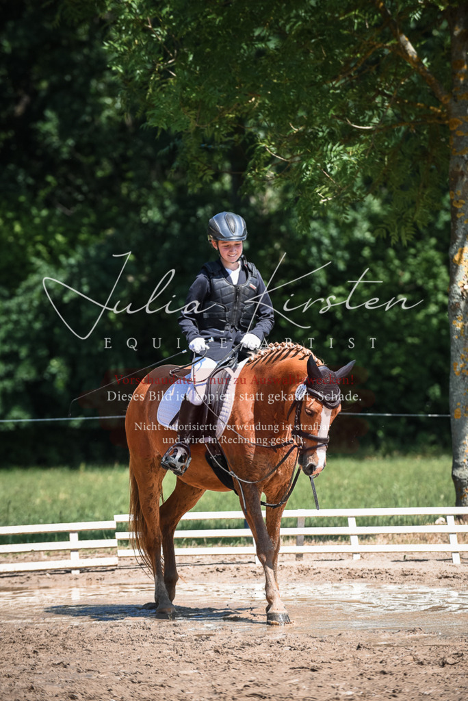 DSC_3243 | Pferde- und Turnierfotografie in Westsachsen. Pferdeportraits, Auftragszeichnungen und intuitive Kunst.