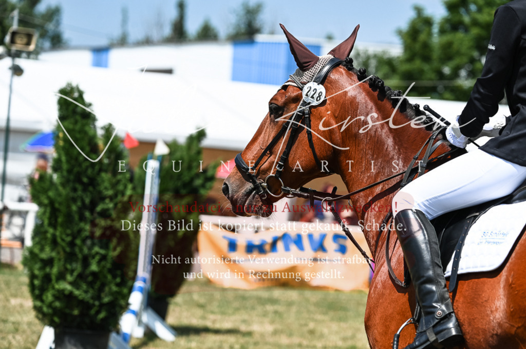DSC_9879 | Pferde- und Turnierfotografie in Westsachsen. Pferdeportraits, Auftragszeichnungen und intuitive Kunst.